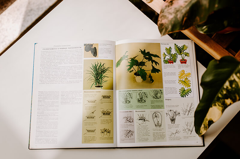 Najlepsze książki o roślinach (10)